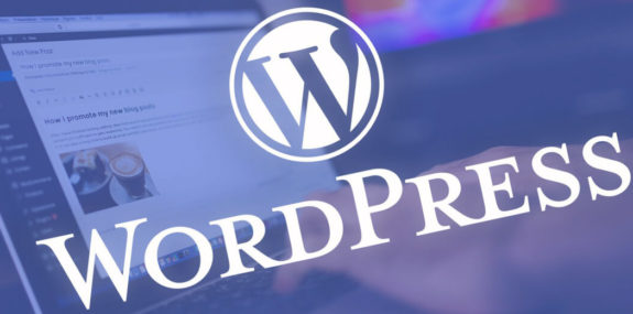 Разработка сайта на WordPress